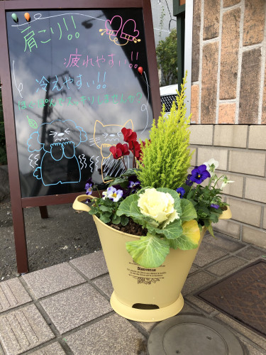 IMG_0399.JPG