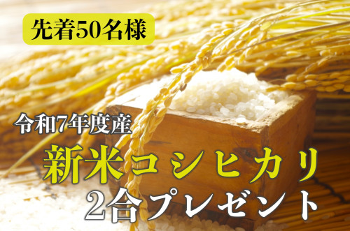 🎁 先着50名様限定！クリーニングご利用で新米プレゼント 🎁