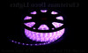 LEDチューブライトイルミネーション商品SPLT-EL-LED-ROPE2W10-WPE-LPu.jpg