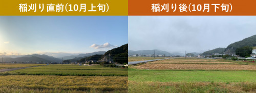 20201104図1.png