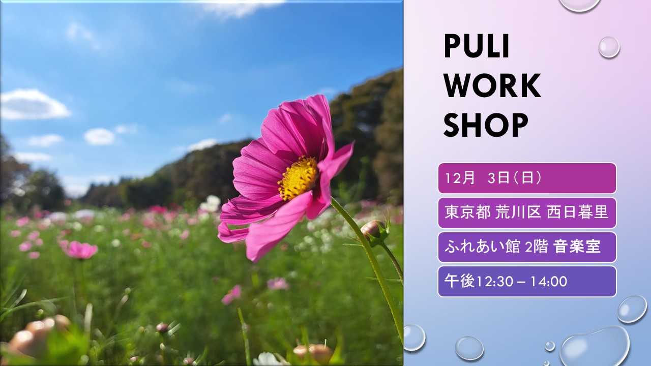 PULI WORKSHOP 1.5H COURSE 12月のお知らせ