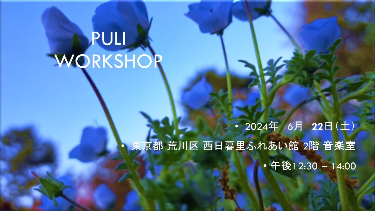 PULI WORKSHOP 1.5h 6月のお知らせ