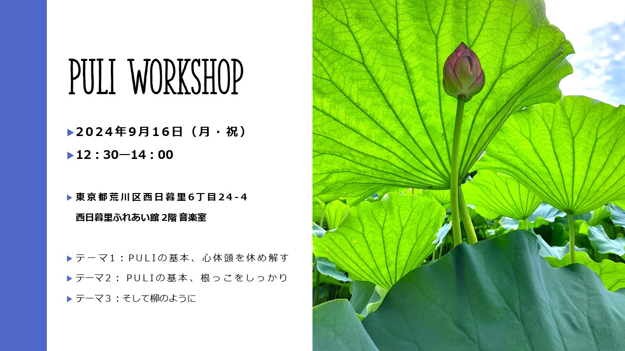 PULI WORKSHOP 1.5H 9月のお知らせ