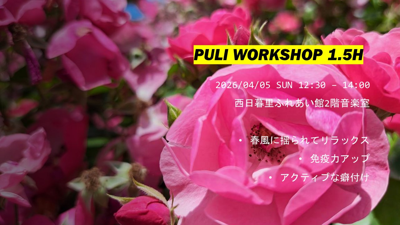 PULI WORKSHOP 1.5H 4月のお知らせ