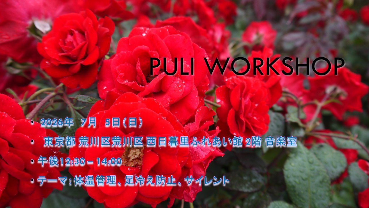 PULI WORKSHOP 7月