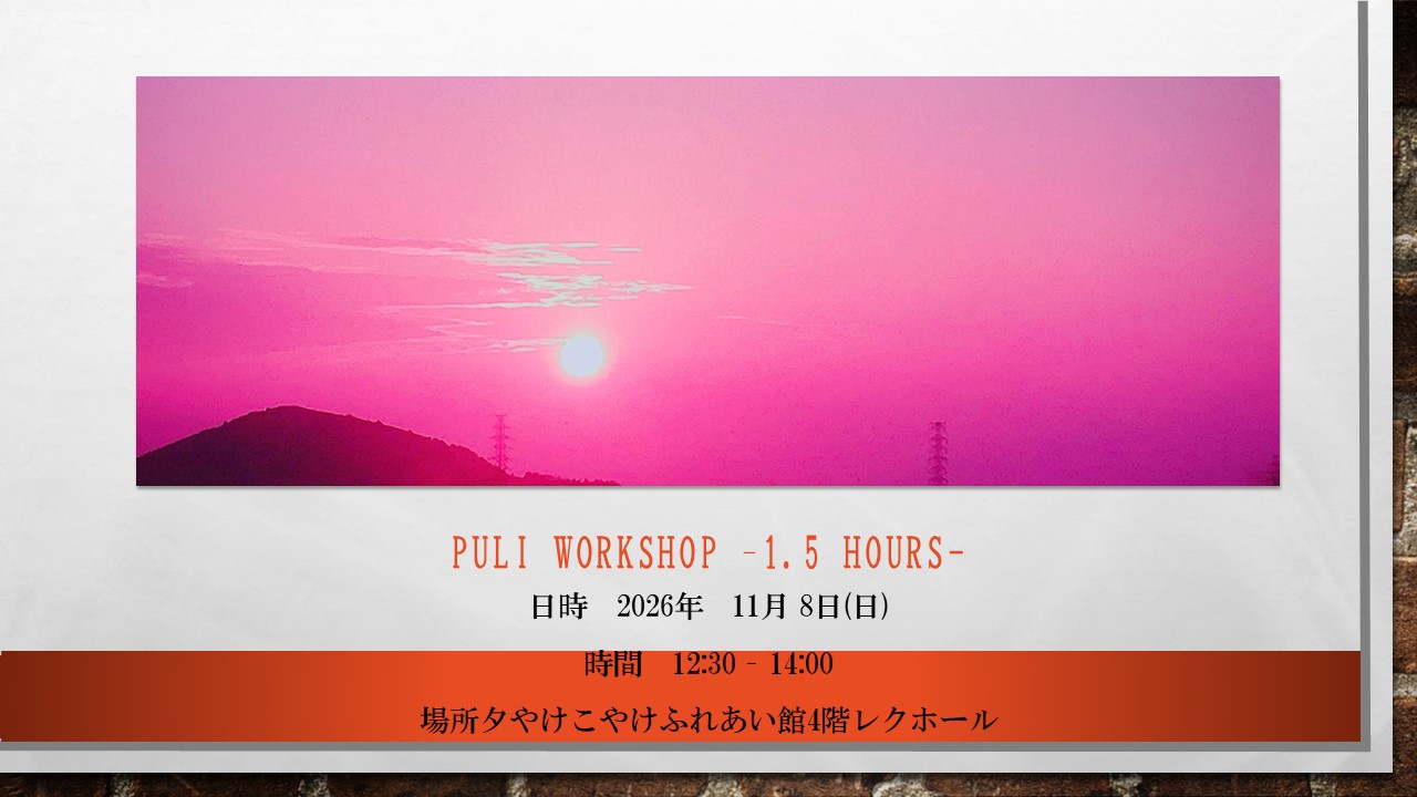 PULI WORKSHOP 1.5H 11月のお知らせ