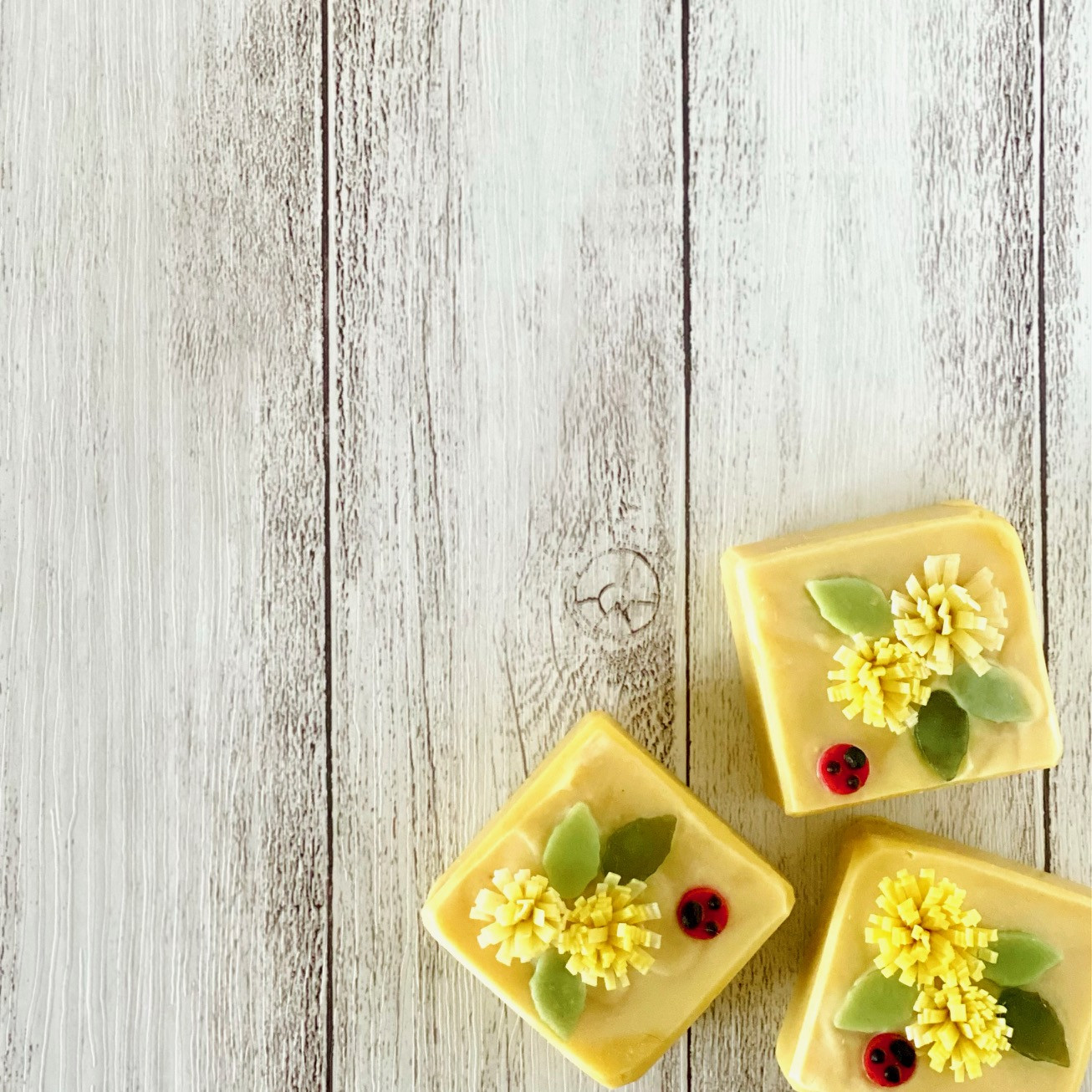 4月5月 月に1度の優しい時間【たんぽぽ～恋しい人を想う～】