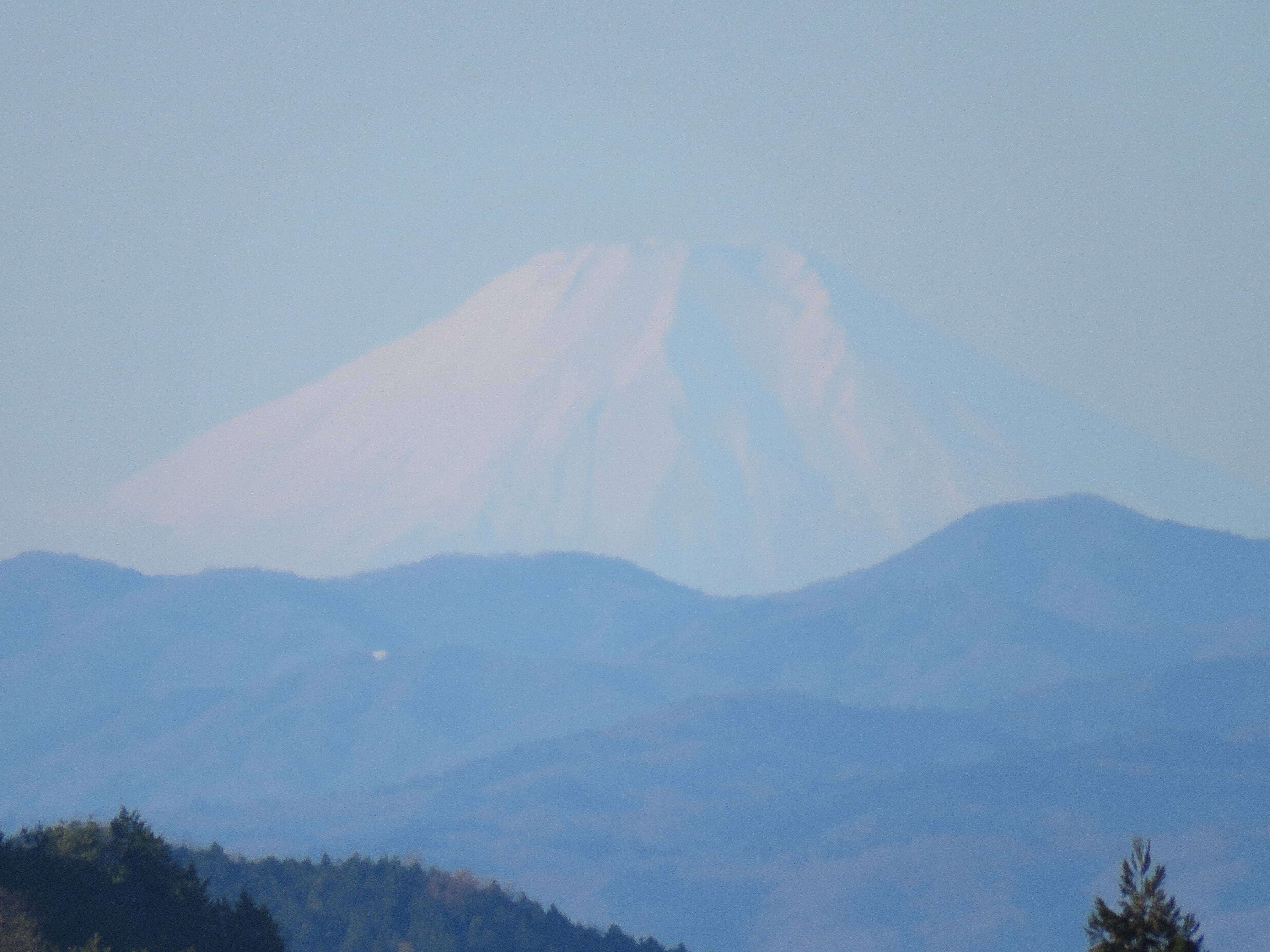 朝の富士山観賞会のご案内