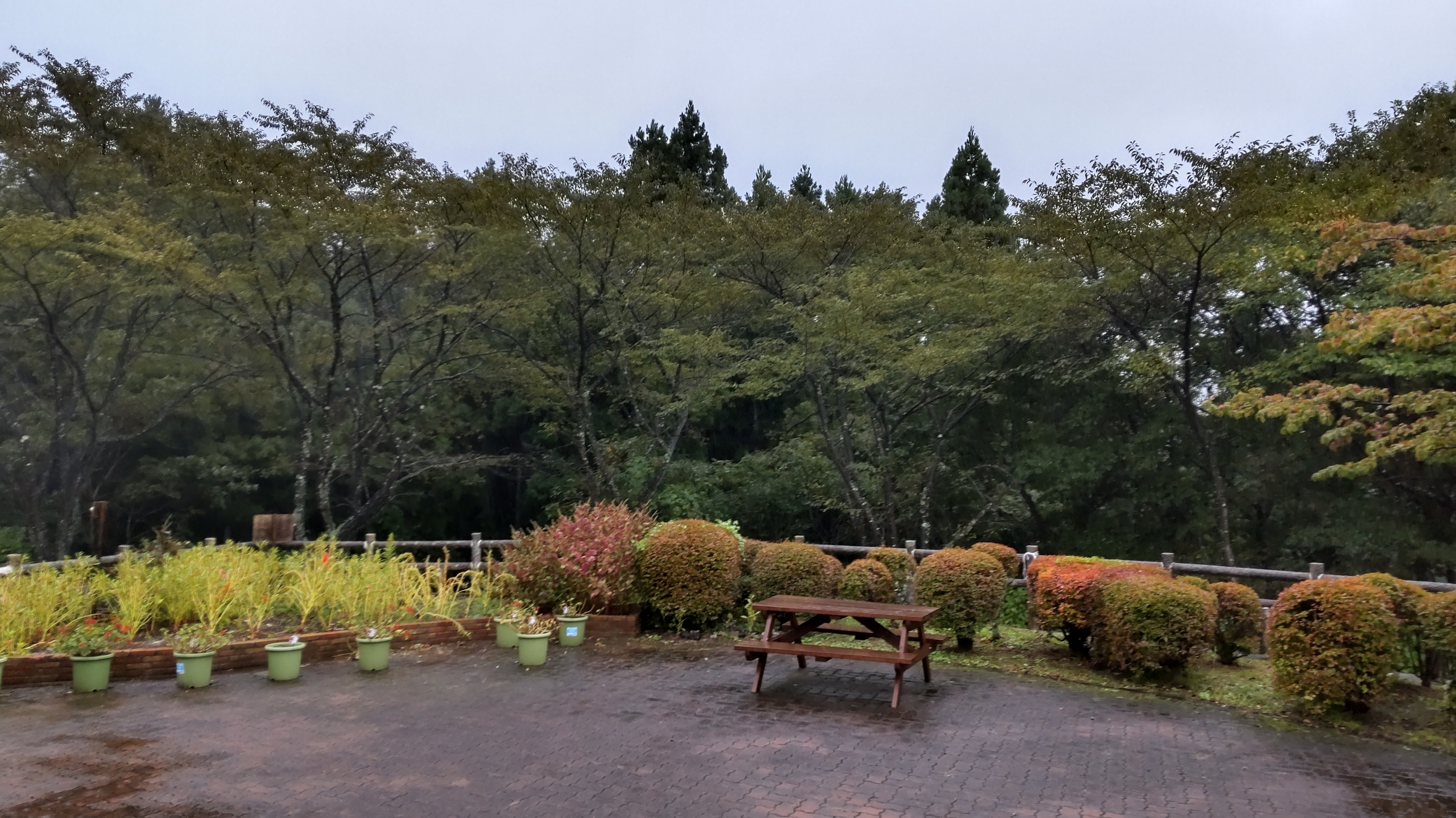 県道36号線　通行止め（お知らせ）