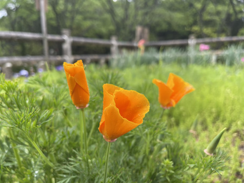 [スライダー雨天中止]