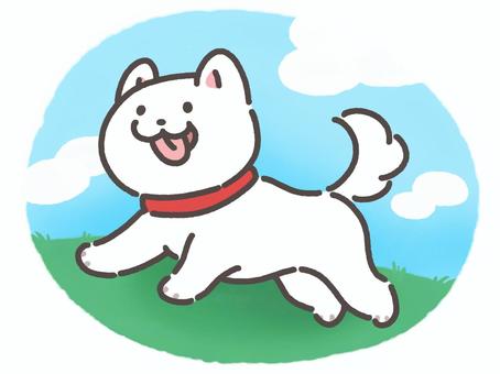 ドックランのご利用につきまして（ご連絡）