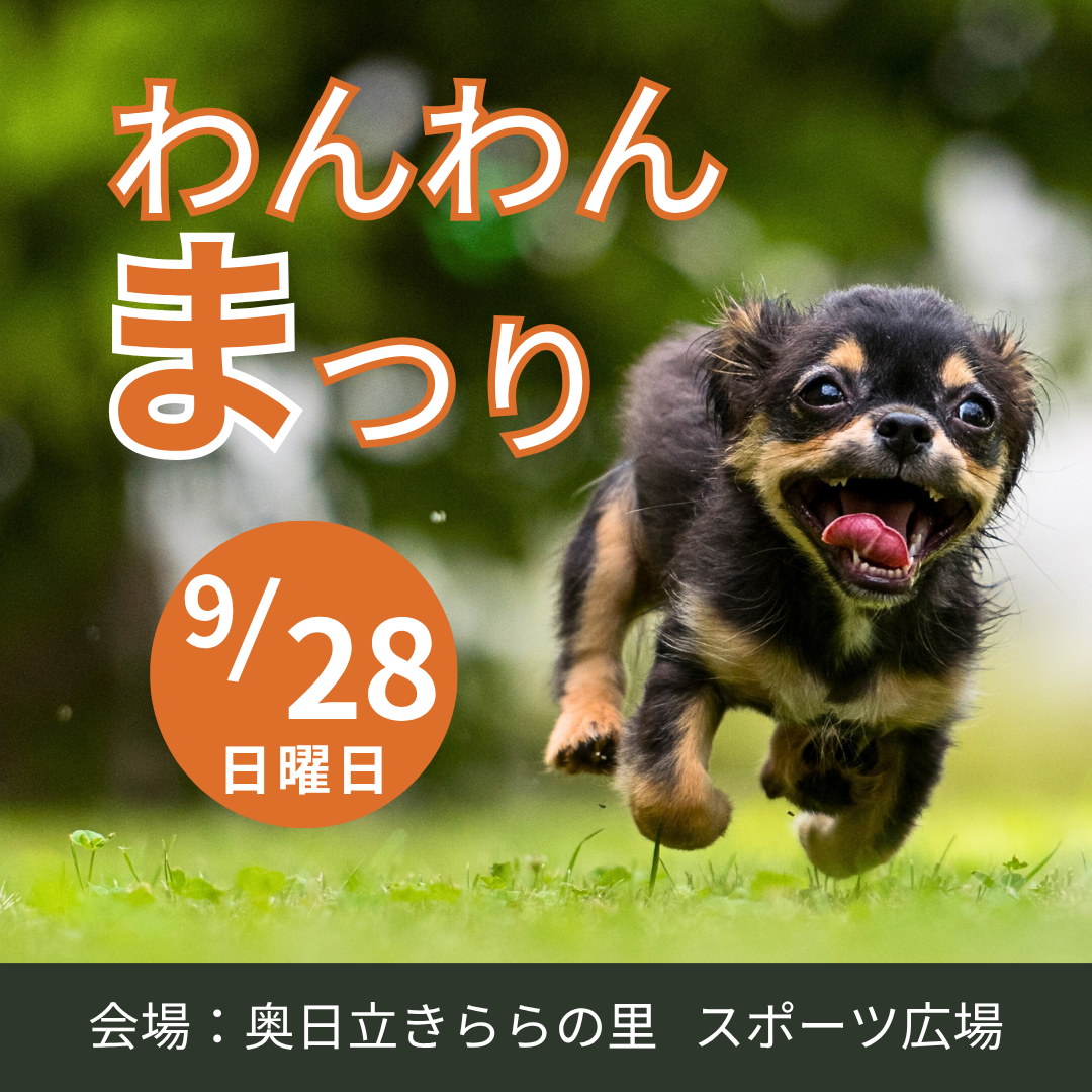 ドッグイベントのご案内