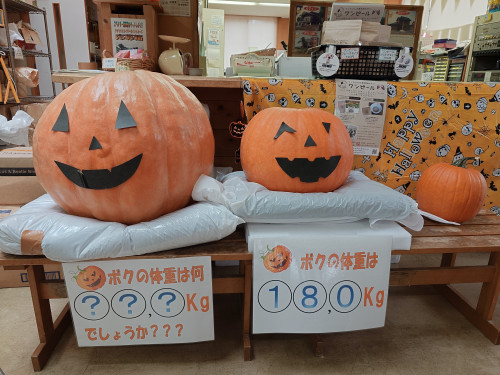 ジャンボかぼちゃの重量当て