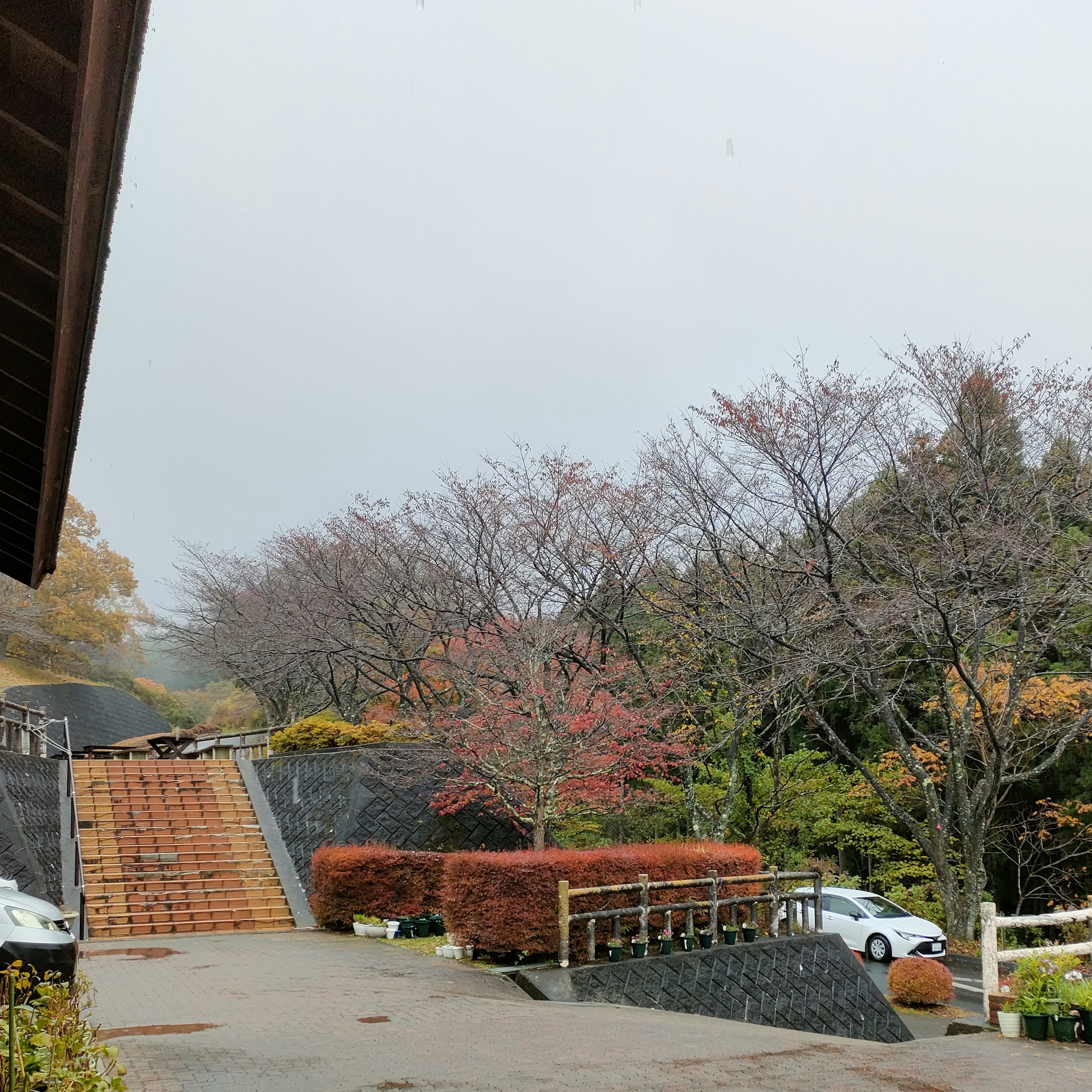 本日（11/9）の営業について