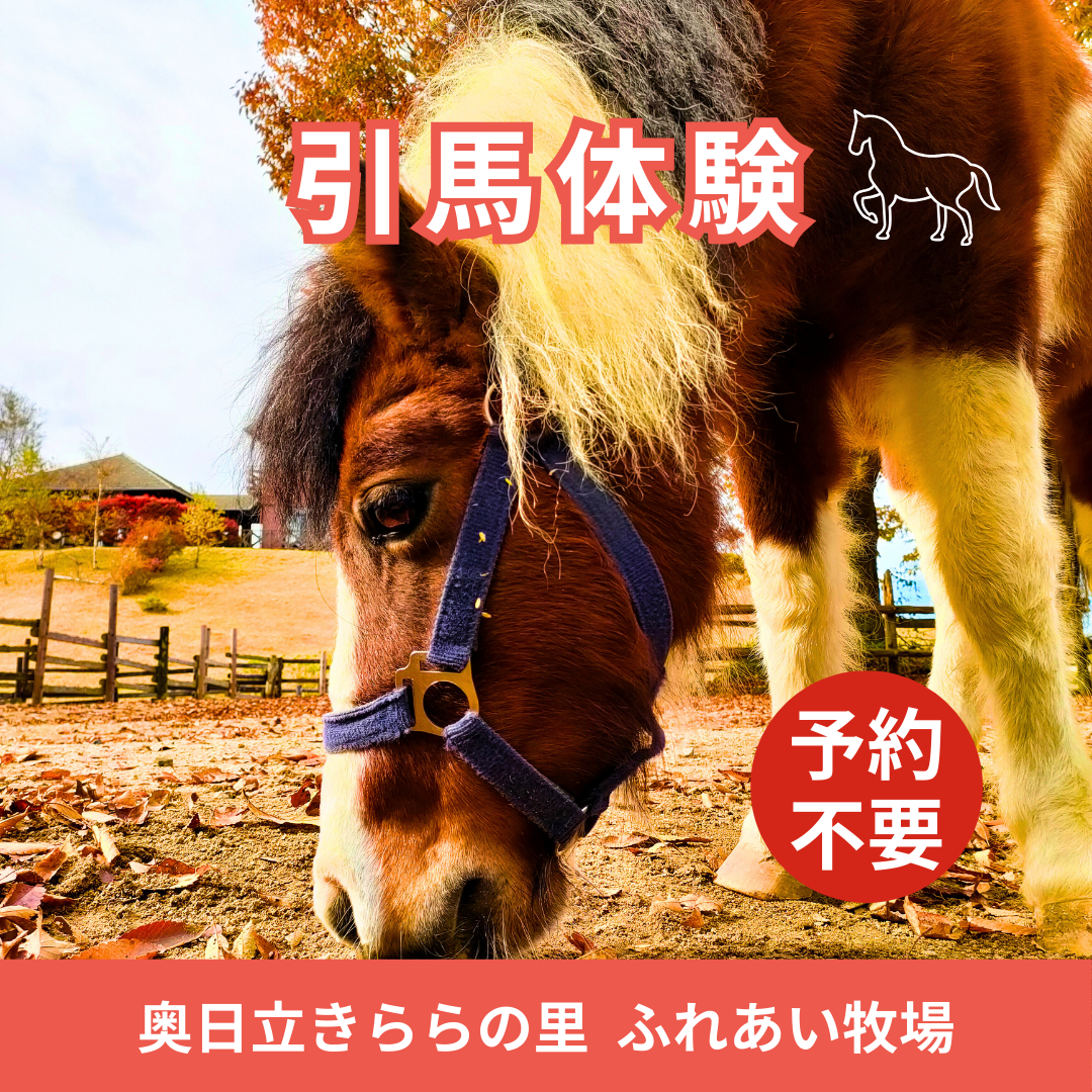 引馬体験.png