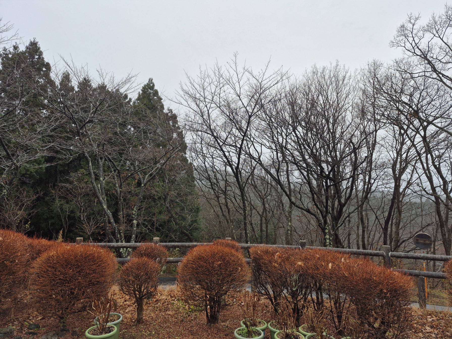 本日の営業について（お知らせ）
