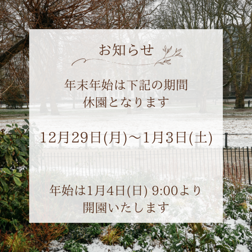 年末年始のお知らせ