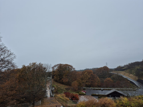 本日の営業について（お知らせ）