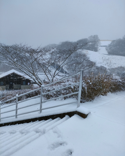 本日2月8日（日）の営業について