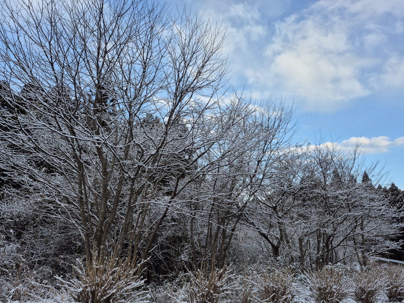 本日の営業について（お知らせ）