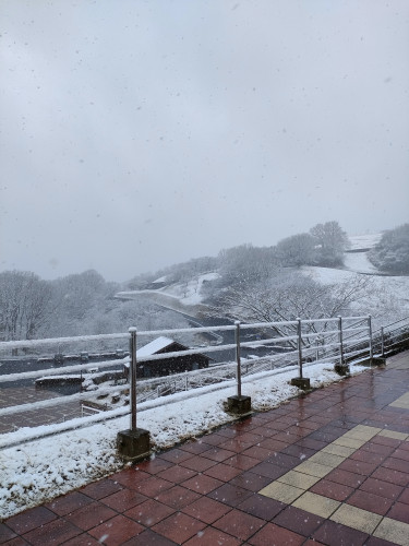 3月10日（火）の営業について