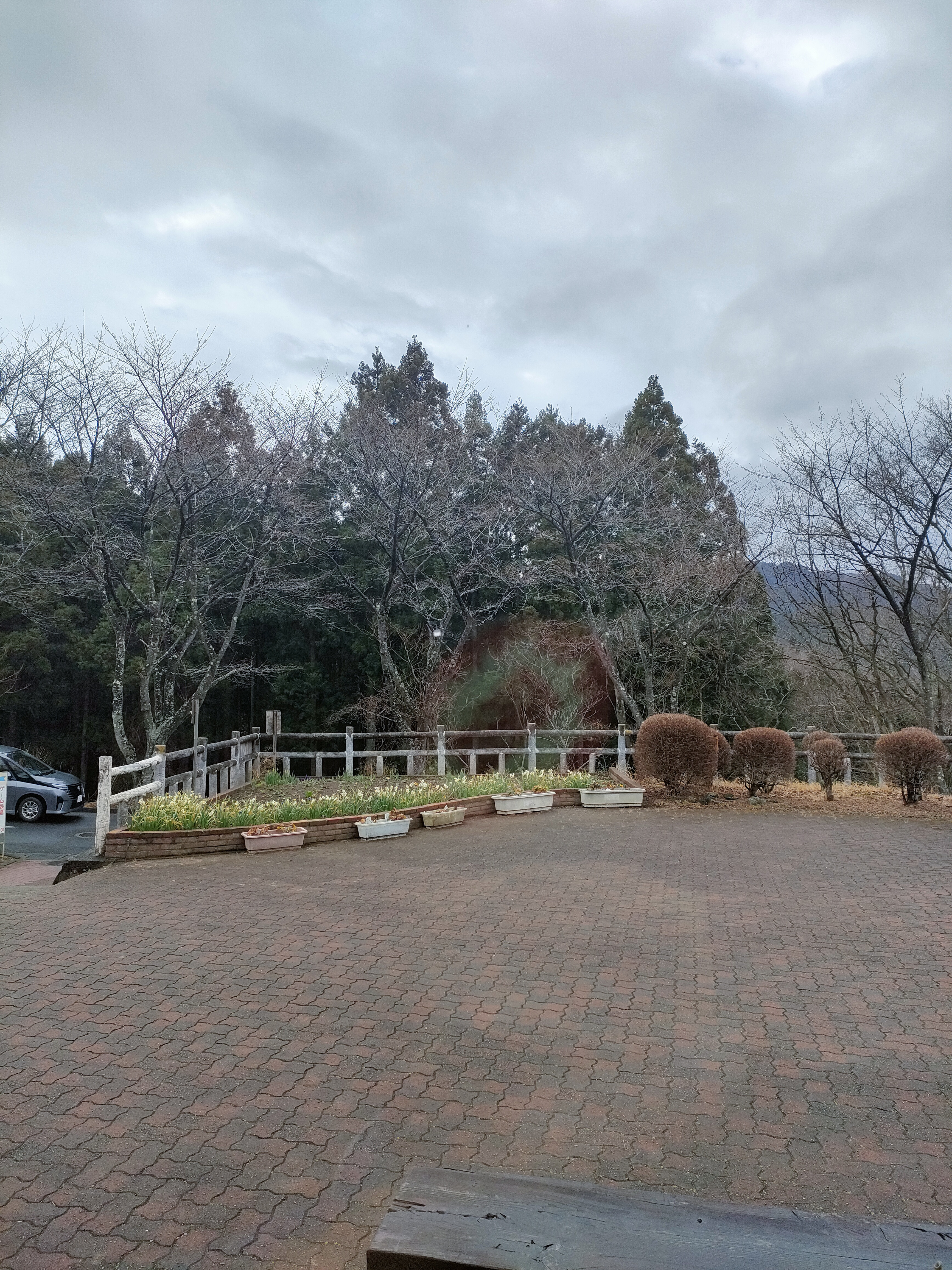 3月19日（木）の営業について