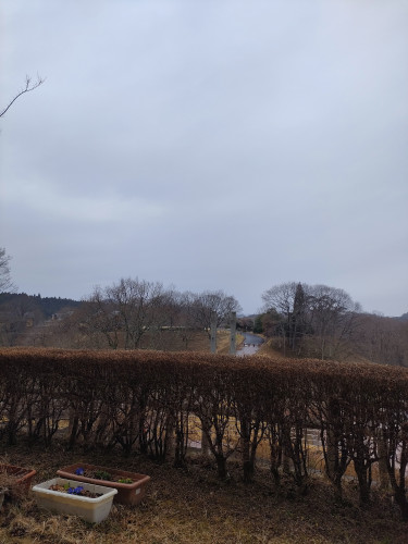 3月20日（金・祝）の営業について