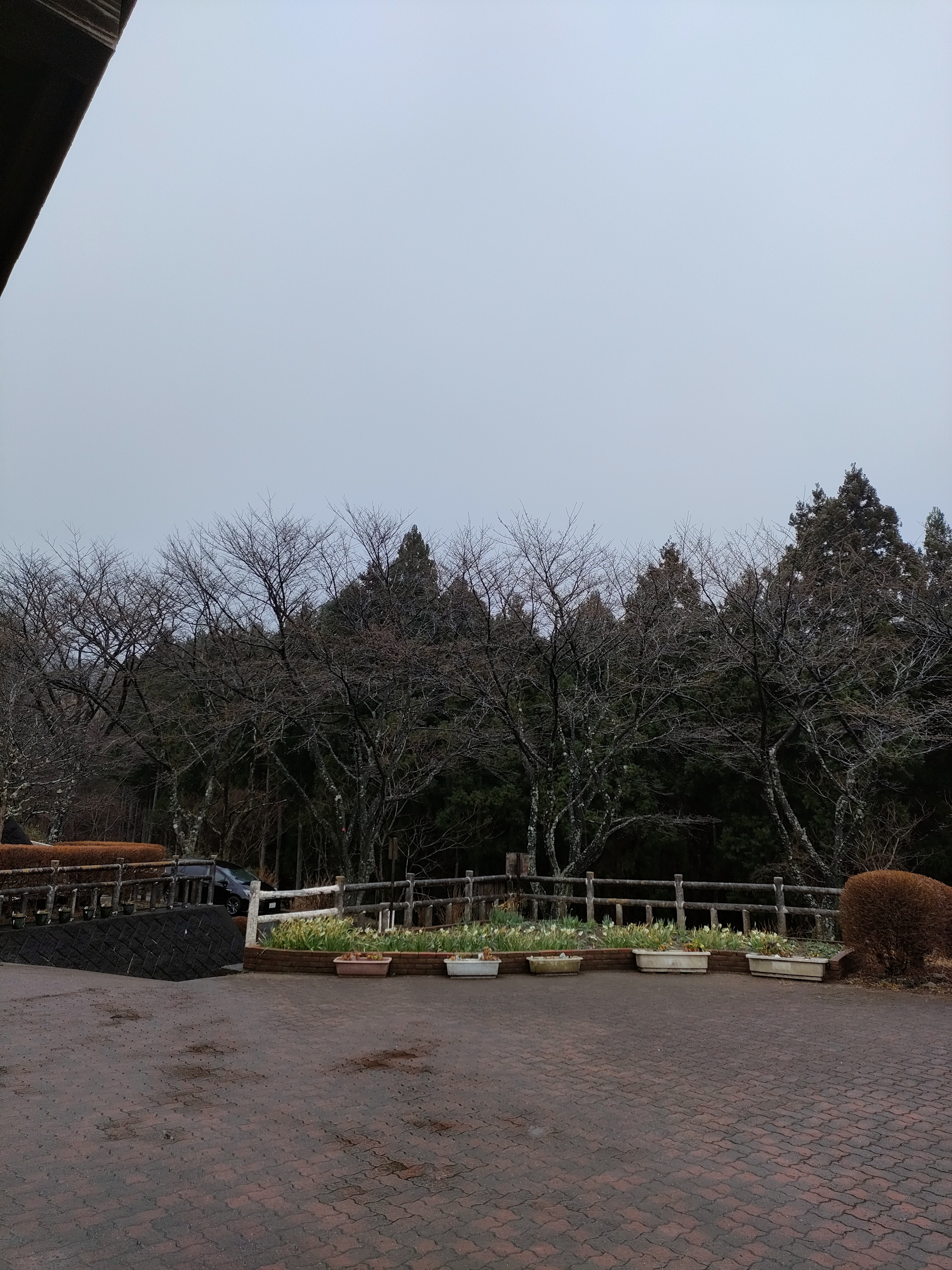 3月26日（木）の営業について