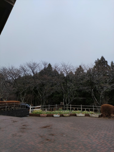 3月26日（木）の営業について