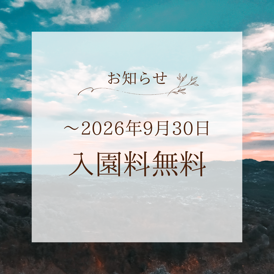 入園無料期間延長のお知らせ