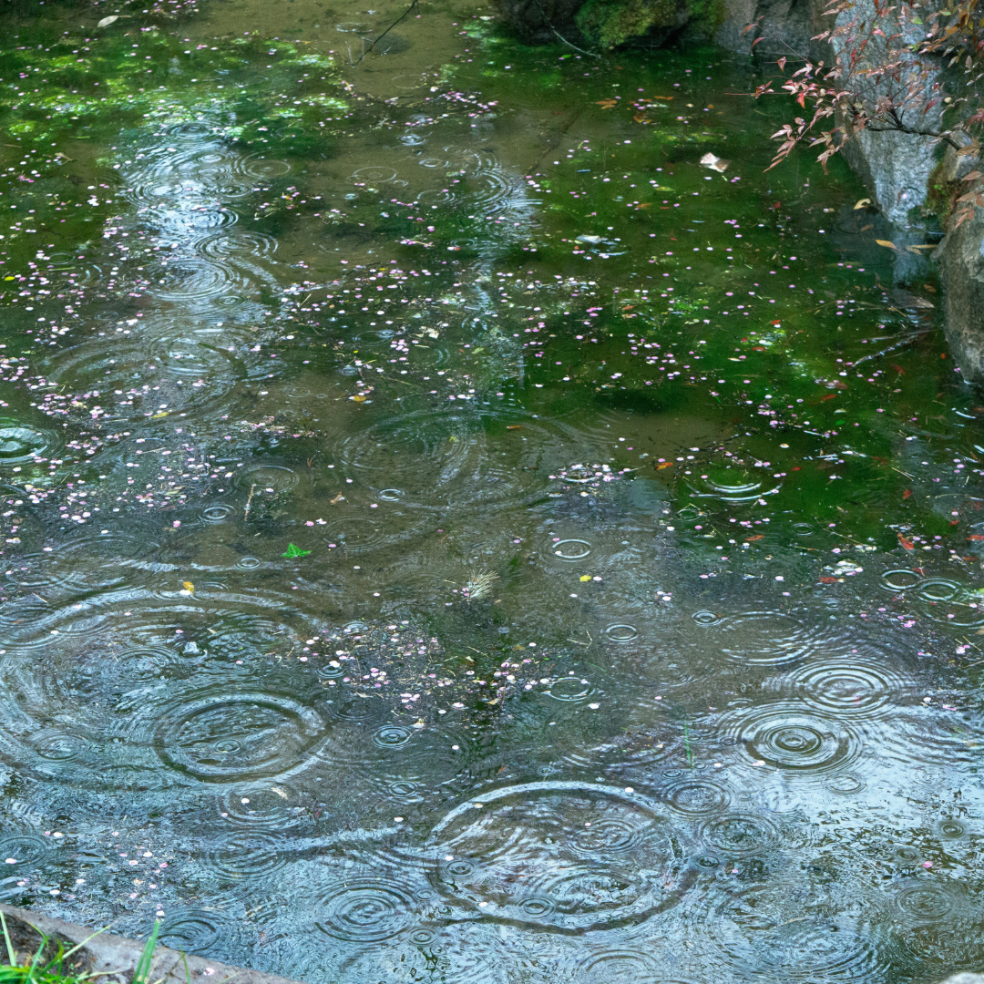 3月31日（火）の営業について