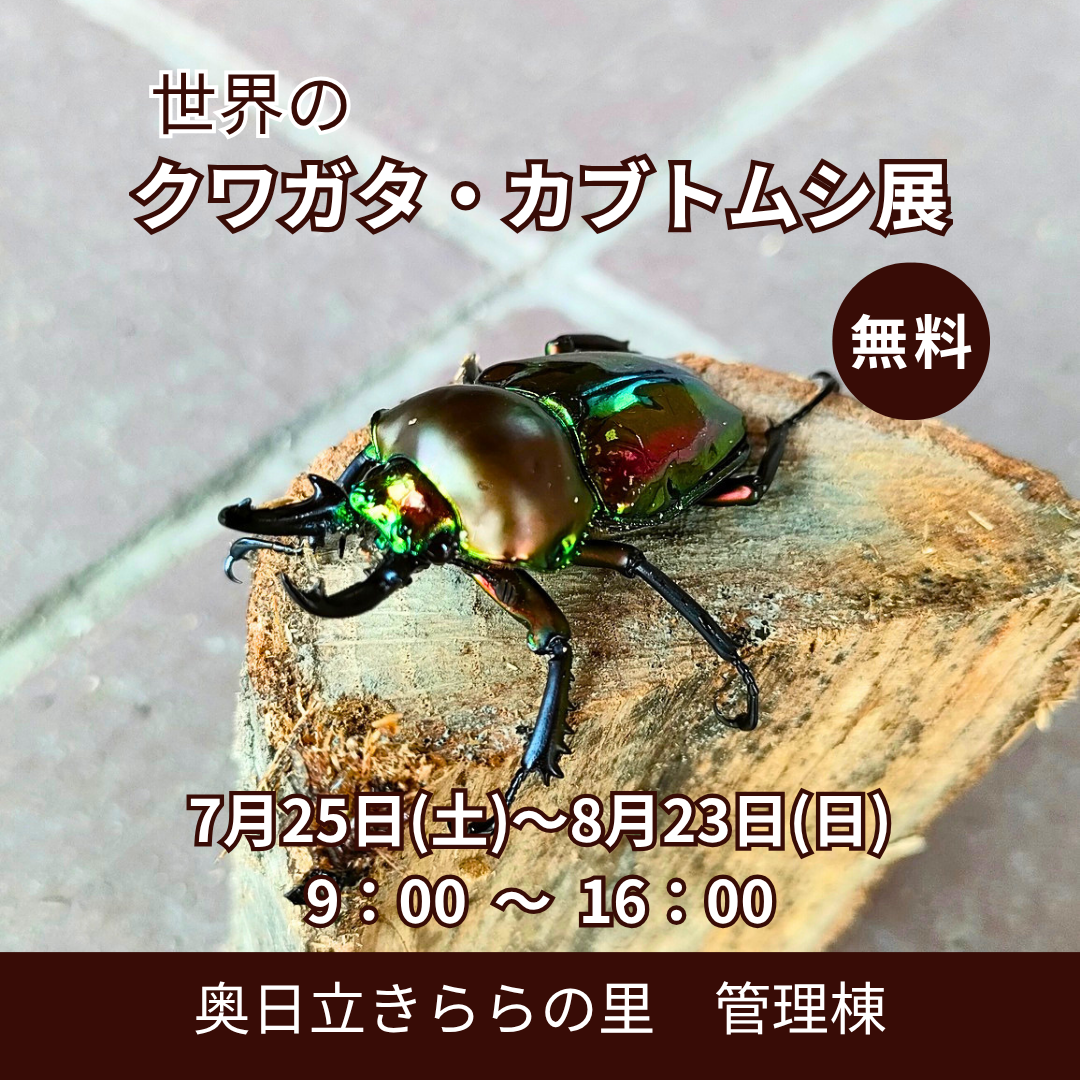 世界のクワガタ・カブトムシ展開催のお知らせ