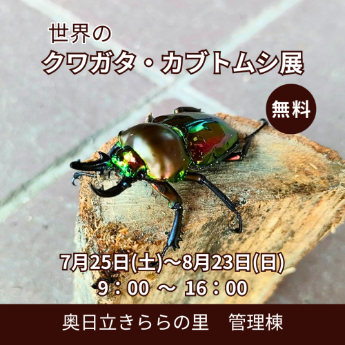 世界のクワガタ・カブトムシ展開催のお知らせ