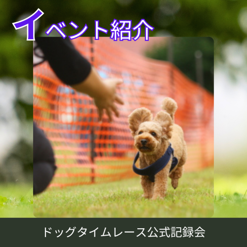 ドッグフェスコンテンツ紹介