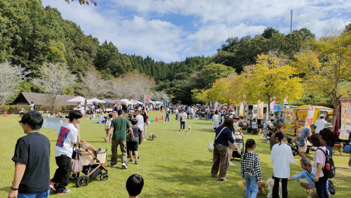 9月19日（土）ひたちドッグフェスティバル開催