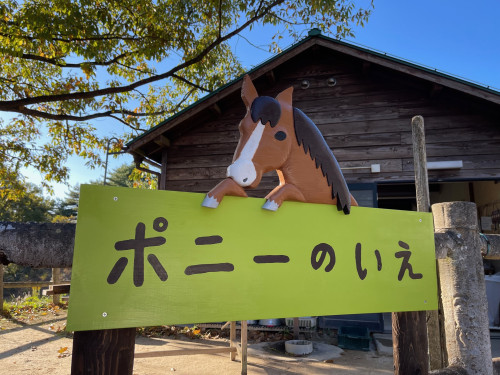引馬体験のお知らせ