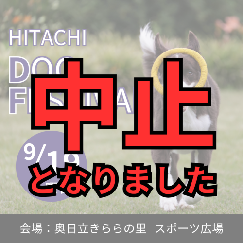 【重要】ドッグフェス中止のお知らせ