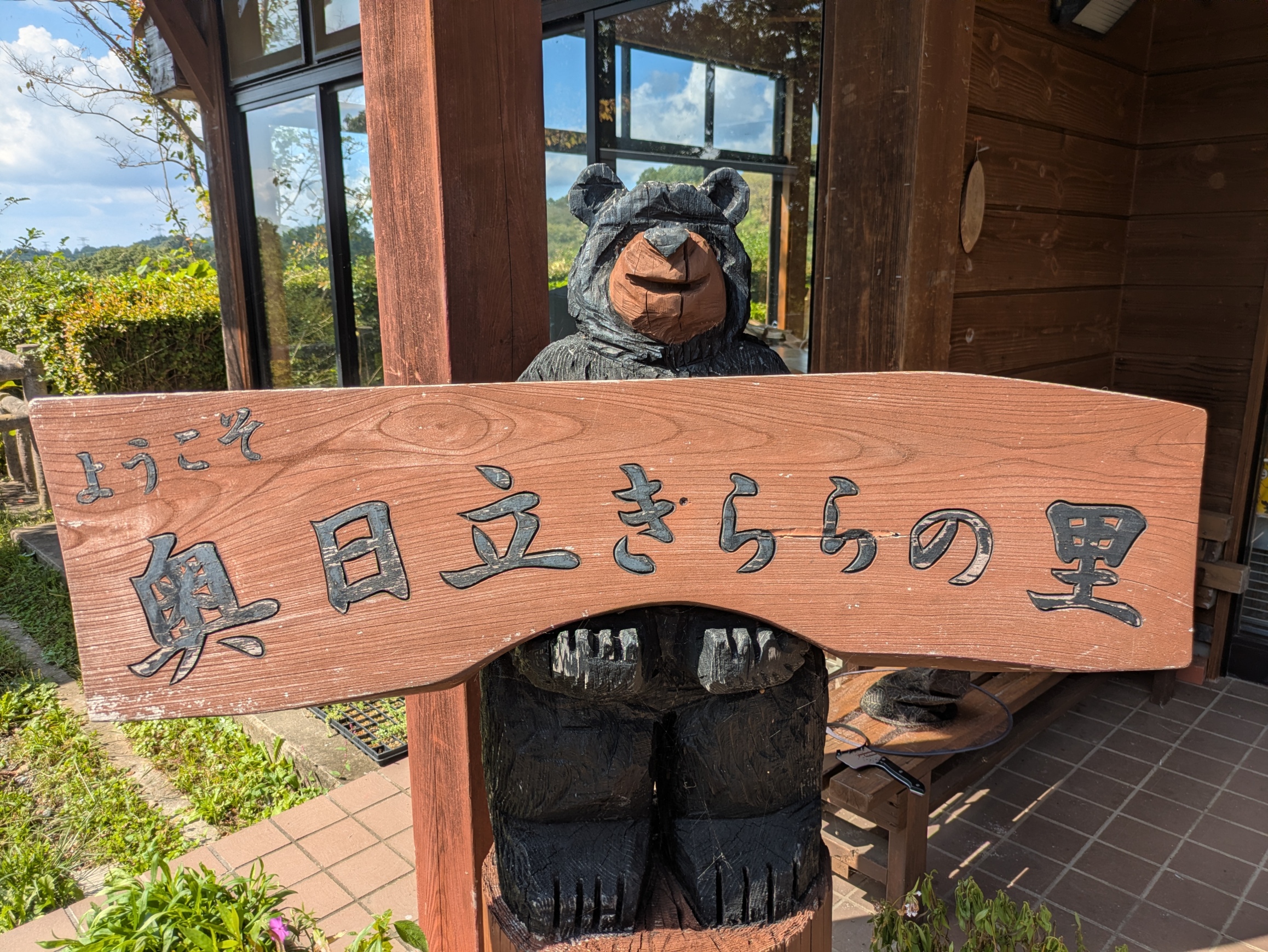 入園無料期間延長のお知らせ
