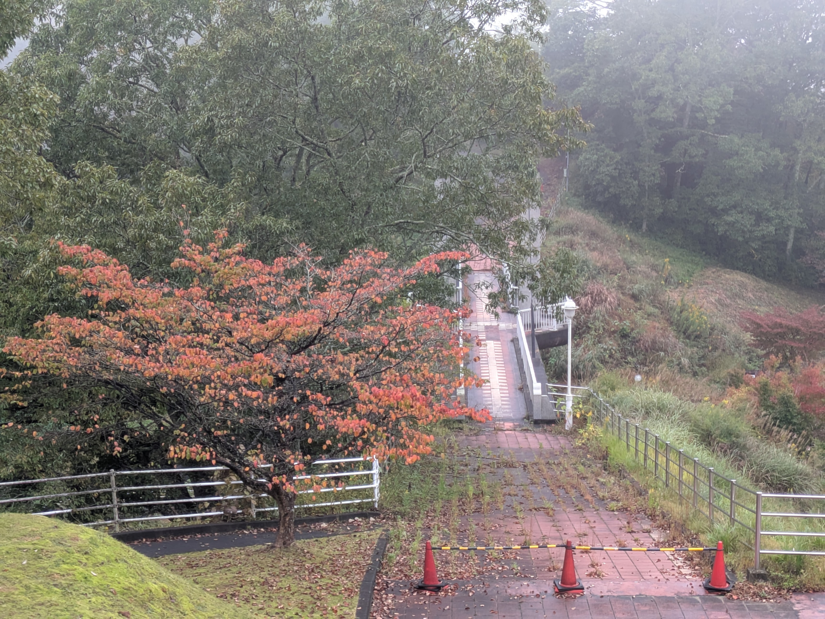 20261025雨天.jpg