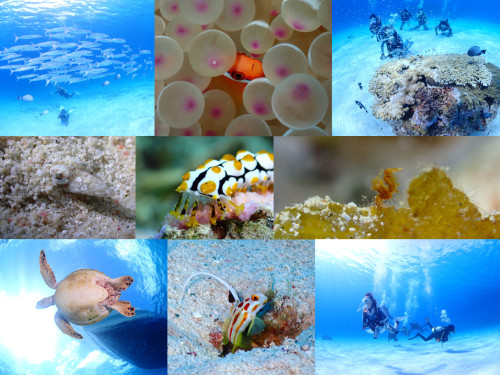 10月もありがとうございました。