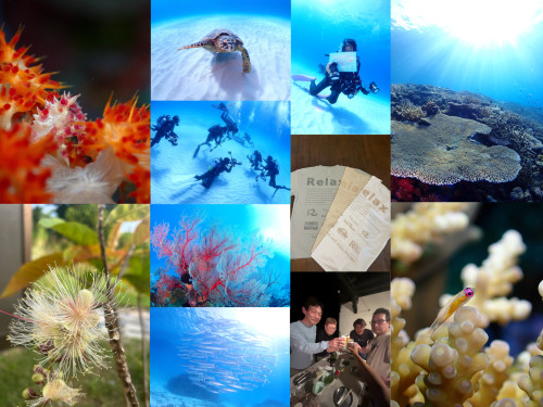 無事、14周年を迎えることができました。