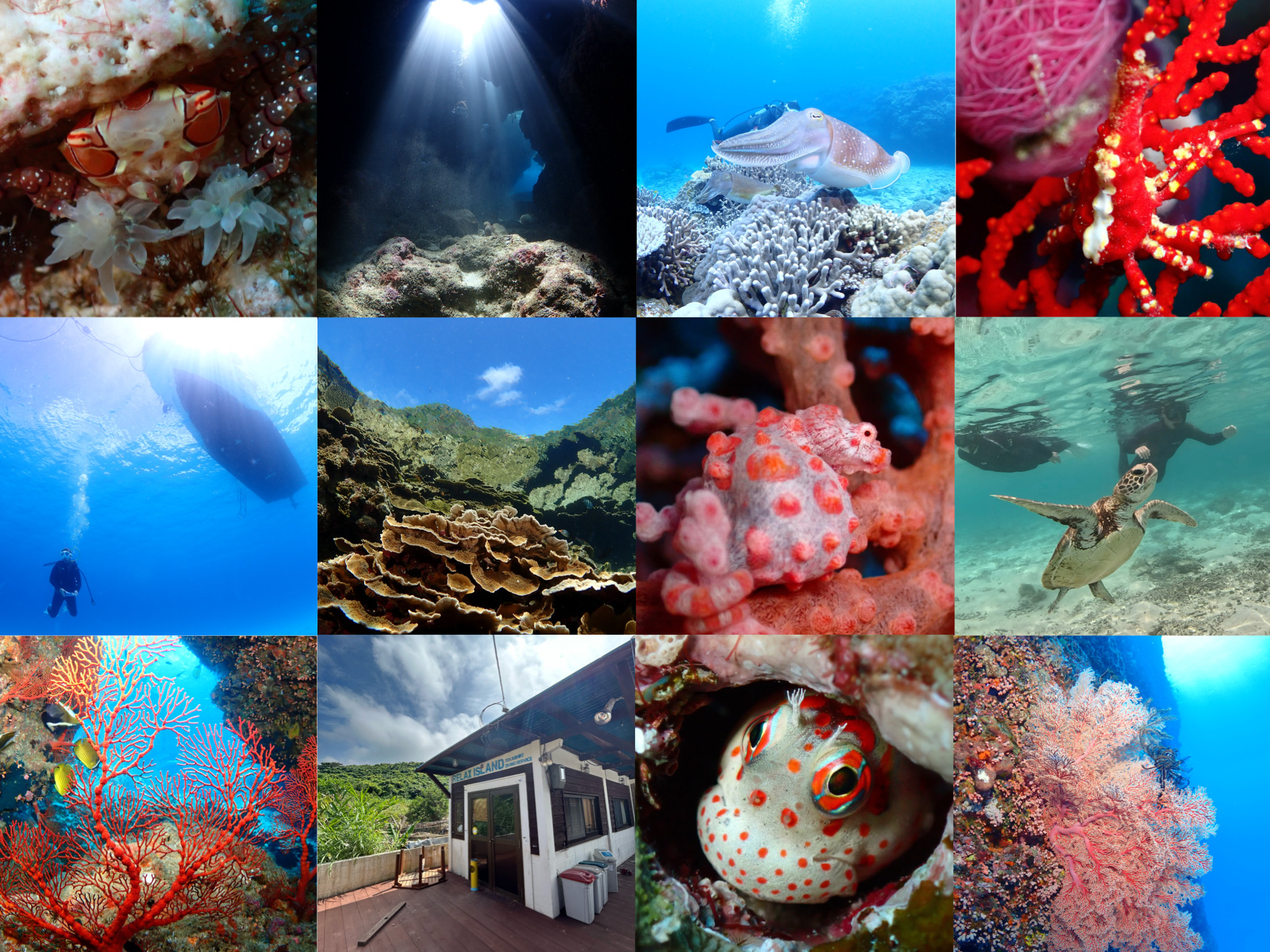 5月もありがとうございました！