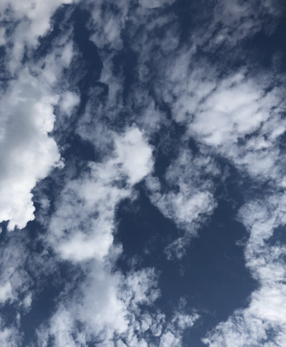 3EE64E8B-2110-4556-AC29-3684E4F2D33E.jpeg