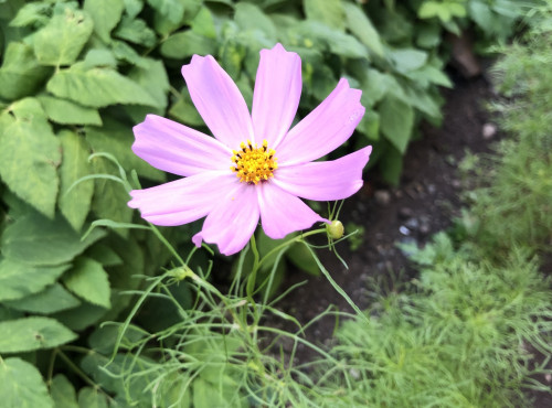 2F031A54-F045-44A1-B90D-1EAED44D3B69.jpeg