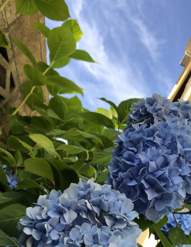 F94609E5-C206-4CCC-811E-8F5CF345A8B4.jpeg
