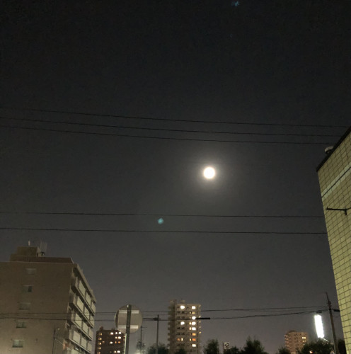 EB4F3637-5116-4C51-A51E-9F77CCF39DEF.jpeg