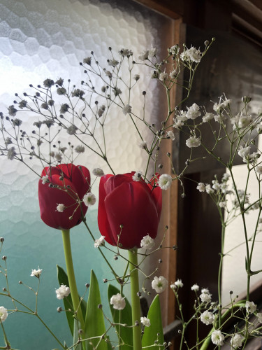 E7D007DB-CA64-47C7-8A5C-3D13F9CF041B.jpeg