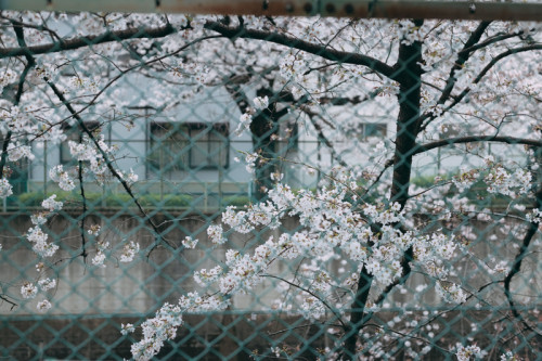 「あなたをイエスに思える」20210404