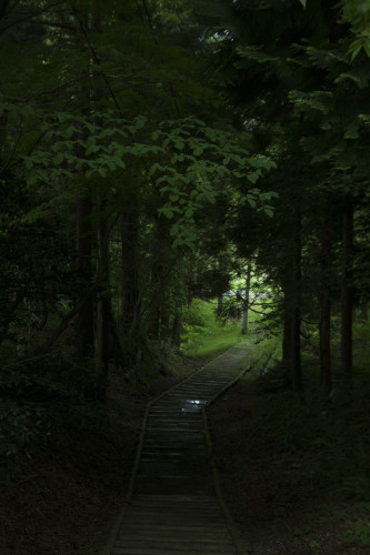 6D2675F5-F183-4E07-9CE5-D40F60836100.jpeg