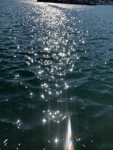 56F03CA3-F94E-41B0-BBA4-8B5CA8D24907.jpeg